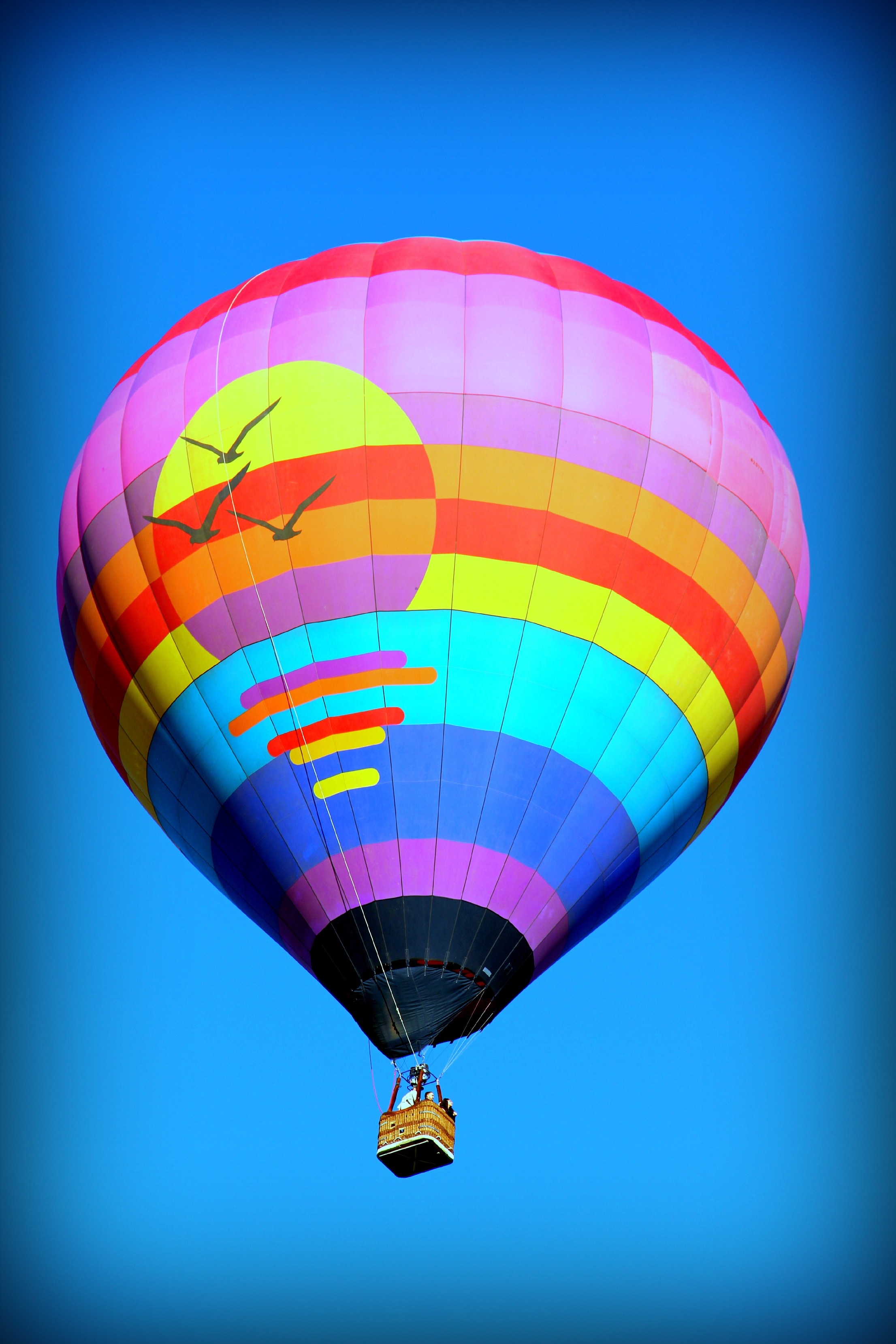 purple teal and yellow hot air balloon
