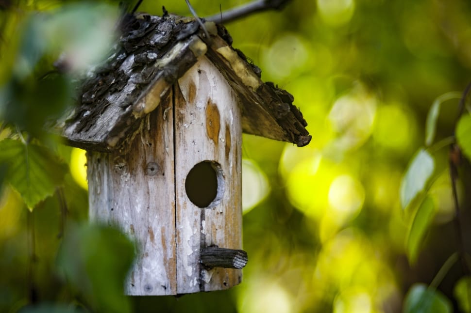 brown wooden bird house preview