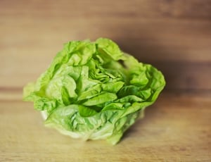 green cabbage thumbnail