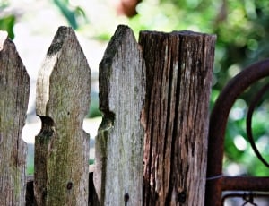 close view of brown wooden fence thumbnail