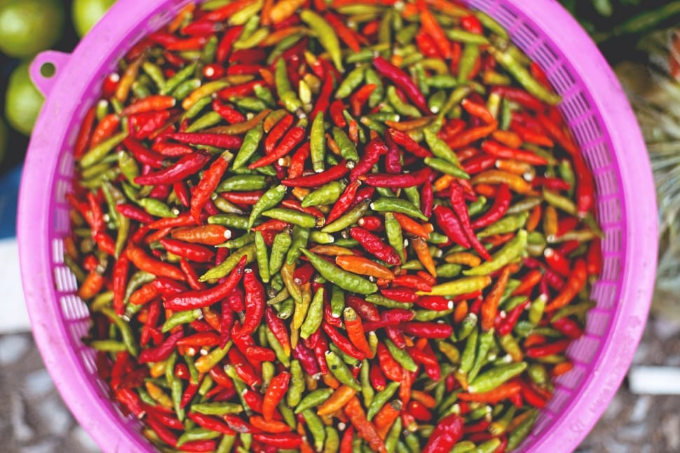 red green chilli preview