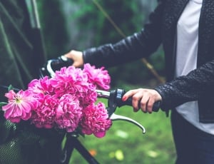 Bike, Flowers, Flower, Basket, Bicycle, flower, human hand thumbnail