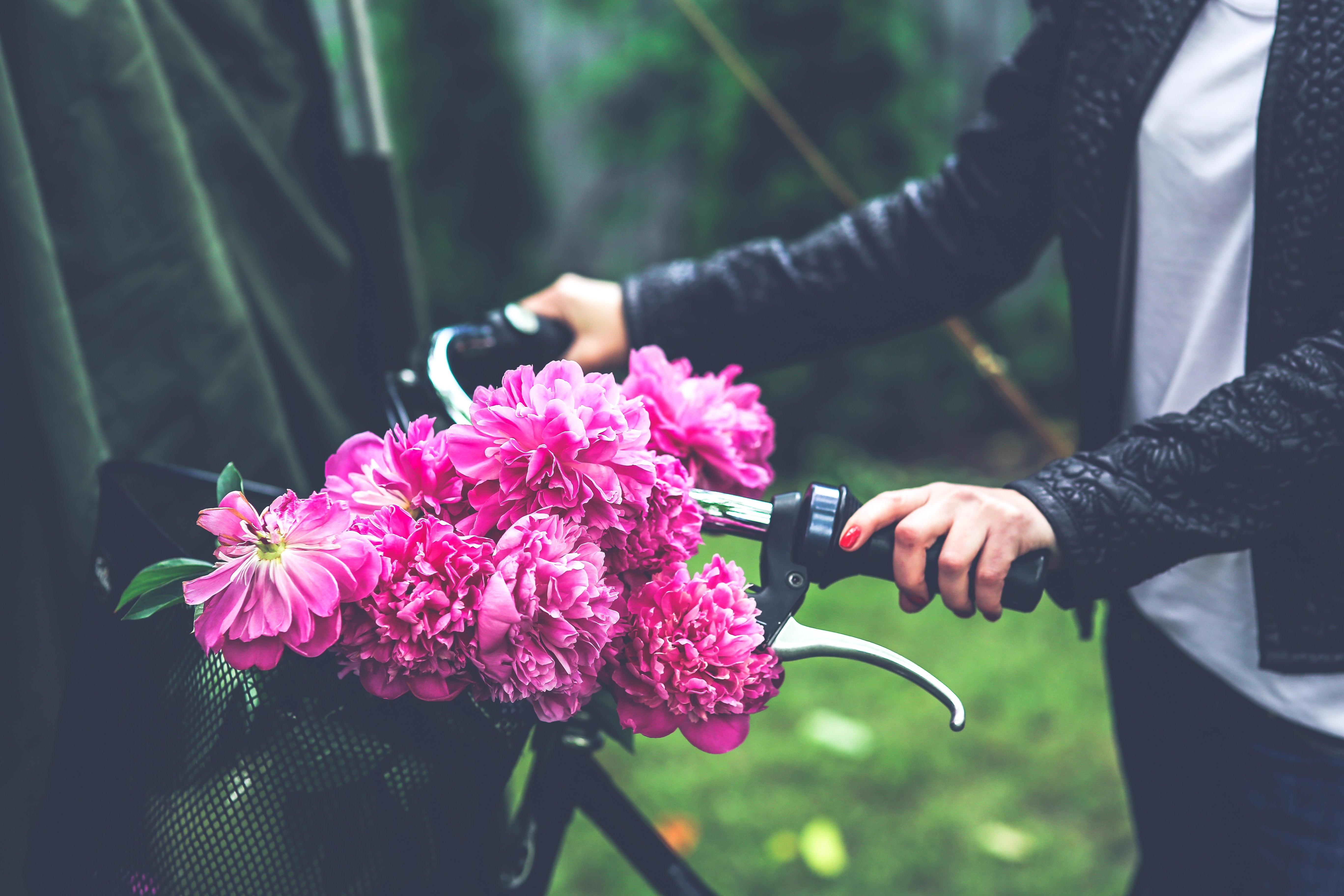 Bike, Flowers, Flower, Basket, Bicycle, flower, human hand