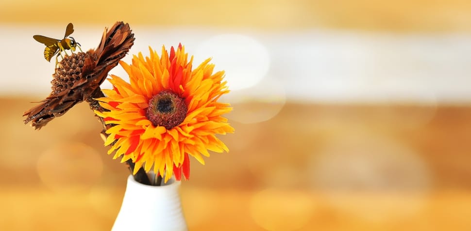 yellow and orange flower preview