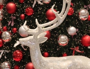 Christmas, Festive Decorations, christmas, no people thumbnail