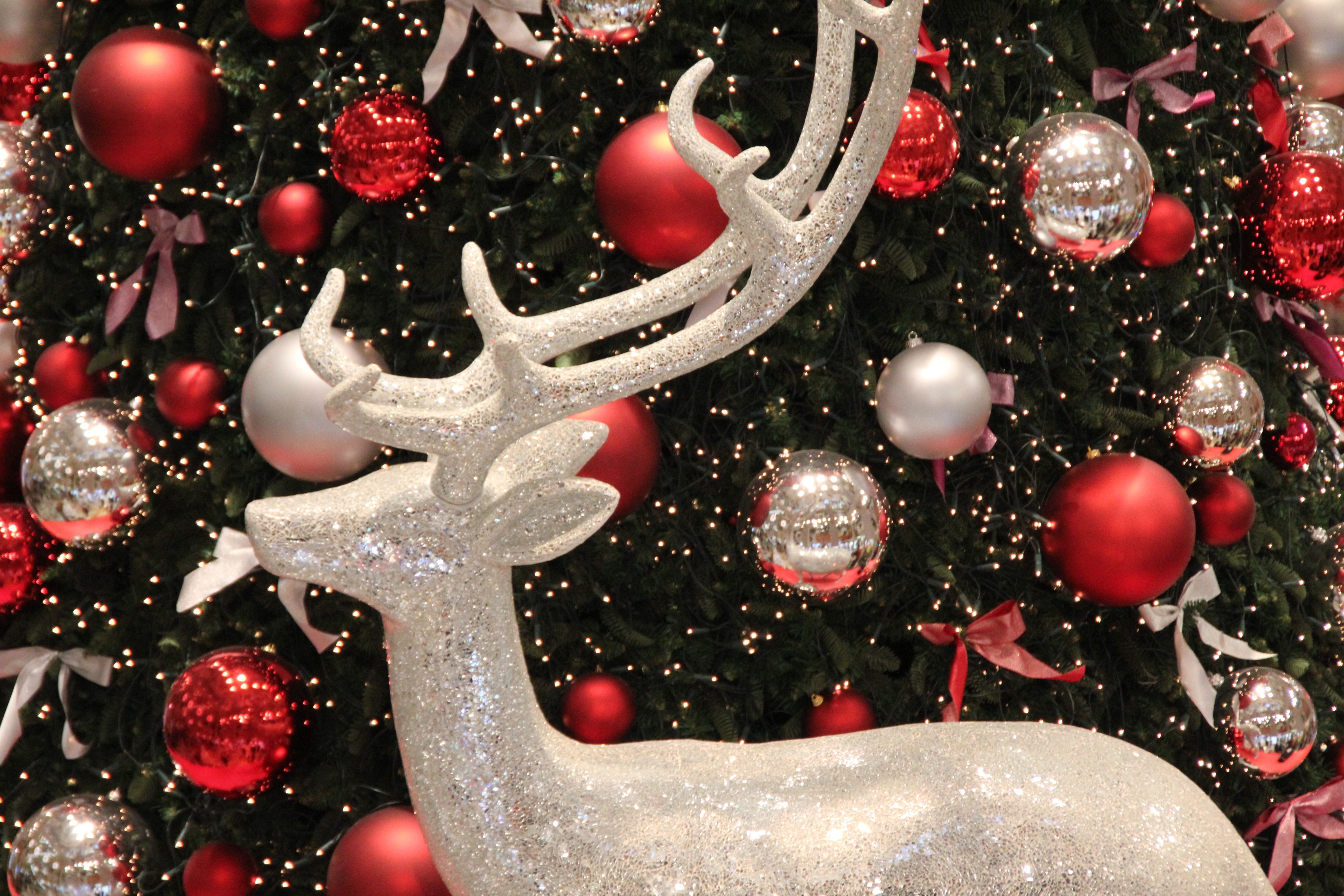 Christmas, Festive Decorations, christmas, no people