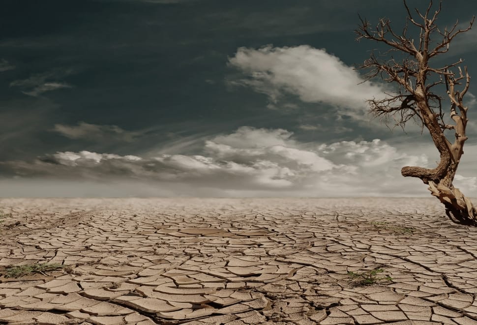 drought infested land preview
