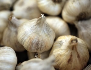 garlics thumbnail