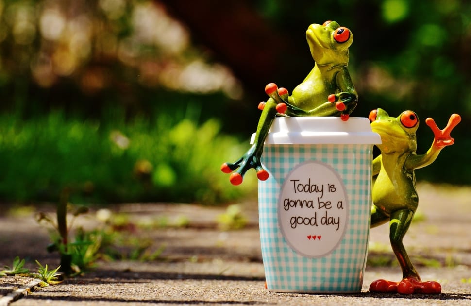 today is gonna be a good day cup and 2 frog ceramic figure preview