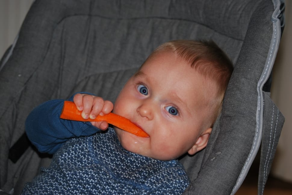 baby in blue shirt eating carrot on gray stroller preview