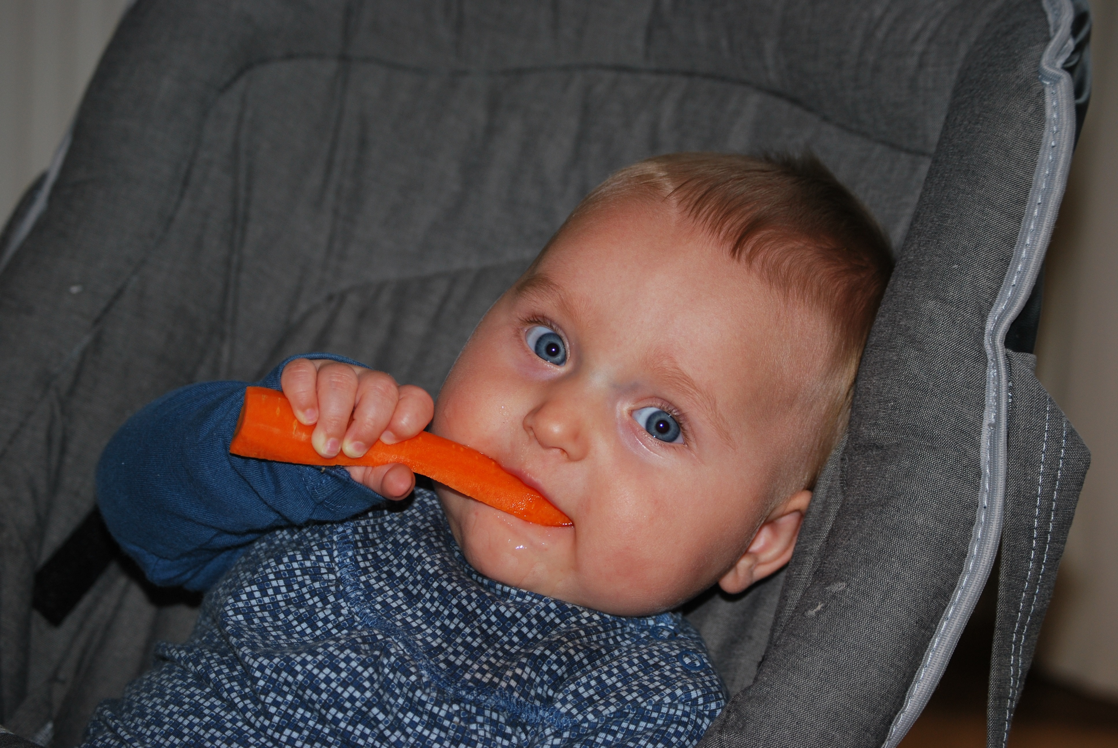 baby in blue shirt eating carrot on gray stroller