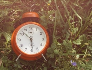 Green, Grass, Alarm, Time, Clock, Nature, time, alarm clock thumbnail