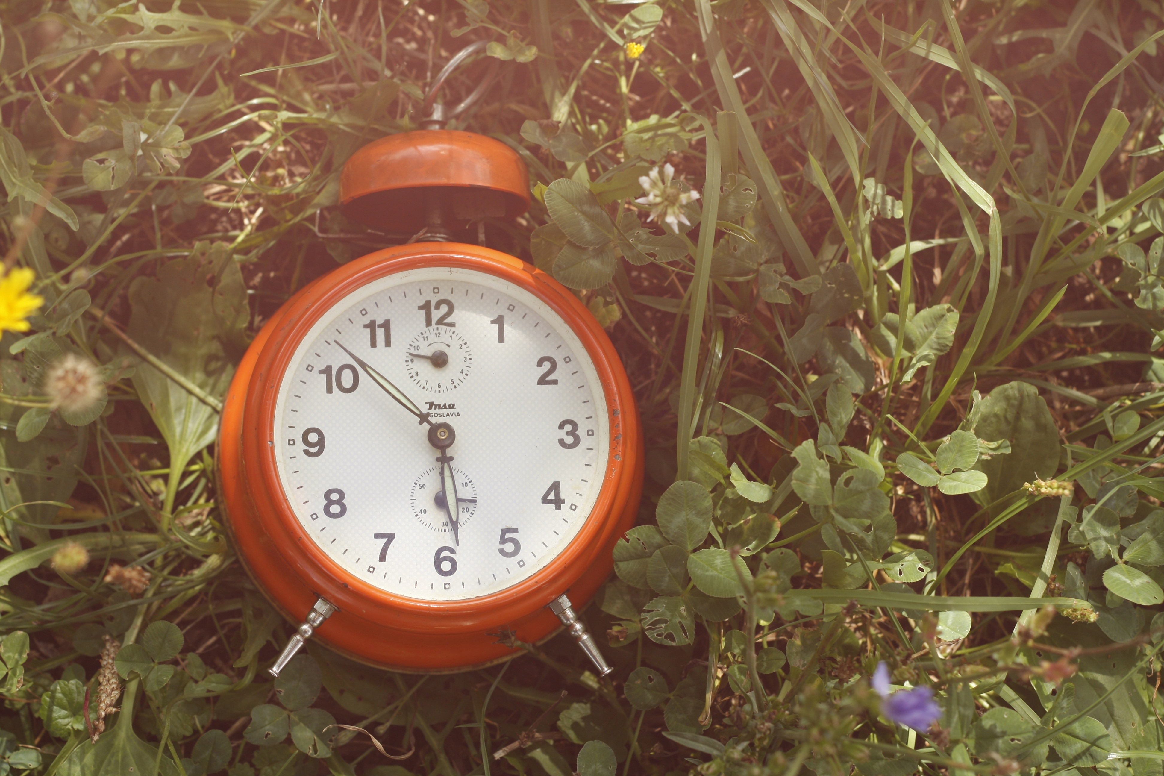 Green, Grass, Alarm, Time, Clock, Nature, time, alarm clock
