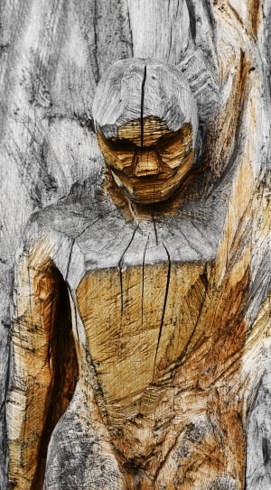 white and brown human carved on tree thumbnail