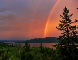 Canim Lake, Thunderstorm, Rainbow, Red, tree, scenics thumbnail