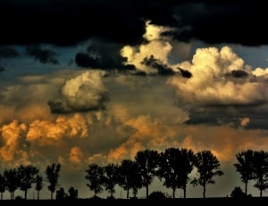 cumulus clouds over palm trees during sunset thumbnail