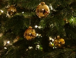 green christmas tree and gold baubles thumbnail