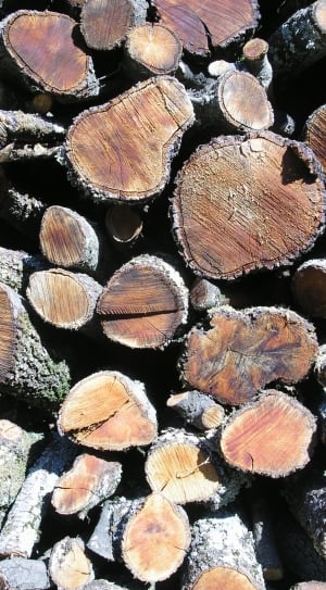 Wood, Case, Tree, Autumn, Summer, Nature, timber, log thumbnail
