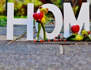 Lettering, Love, At Home, Frogs, Romance, toy, day thumbnail