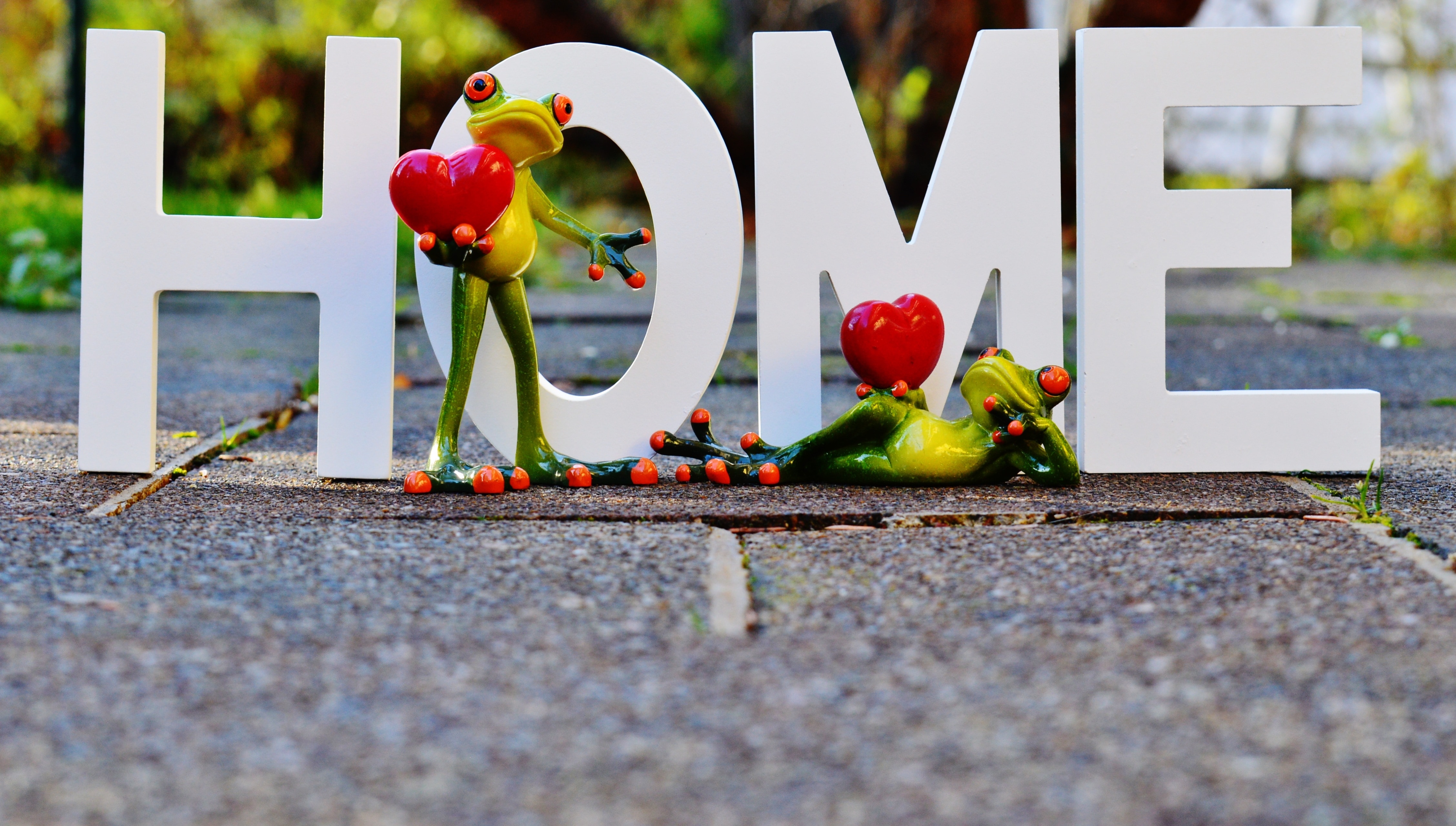 Lettering, Love, At Home, Frogs, Romance, toy, day