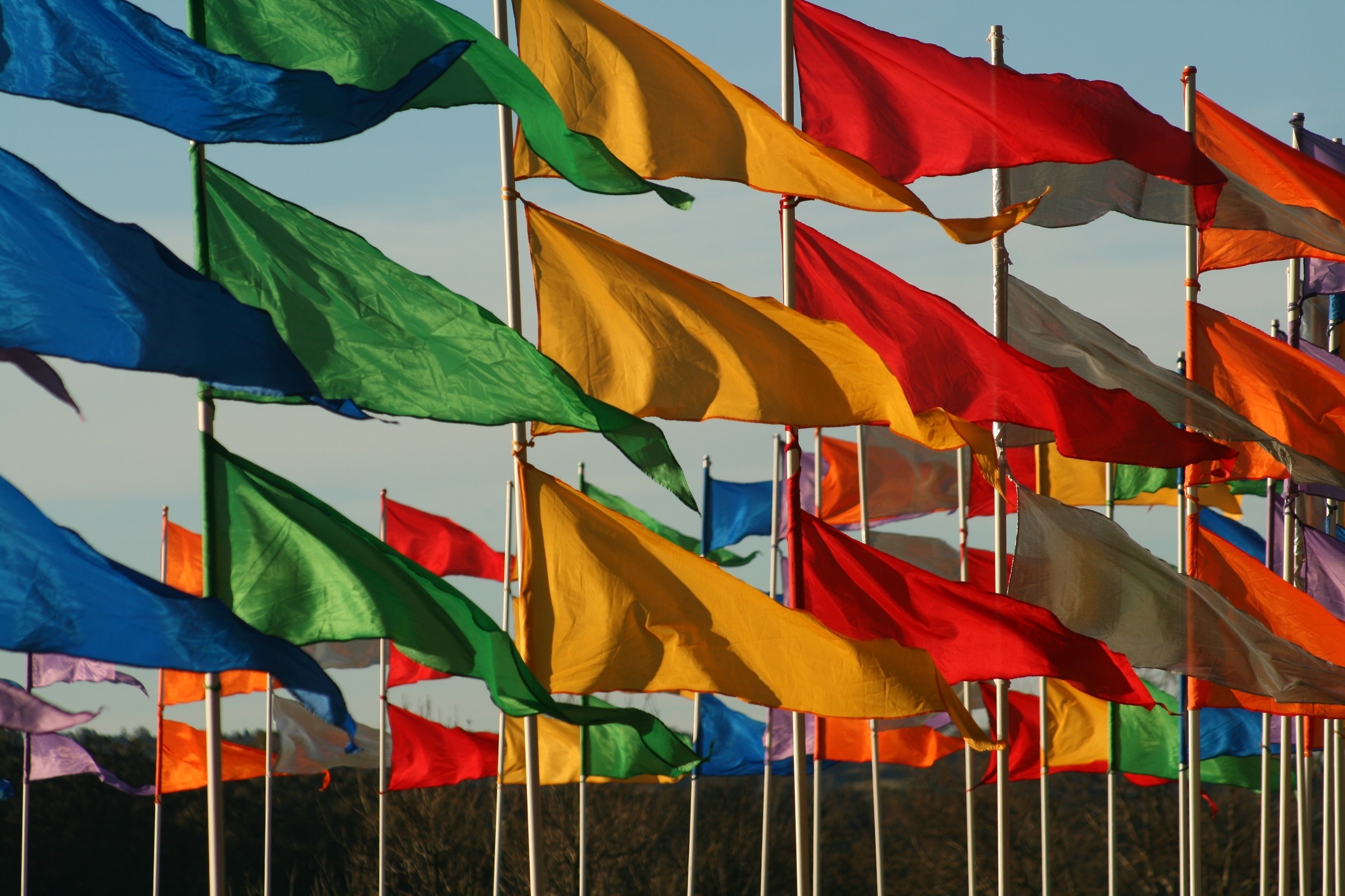 assorted flags under blue skies during daytime