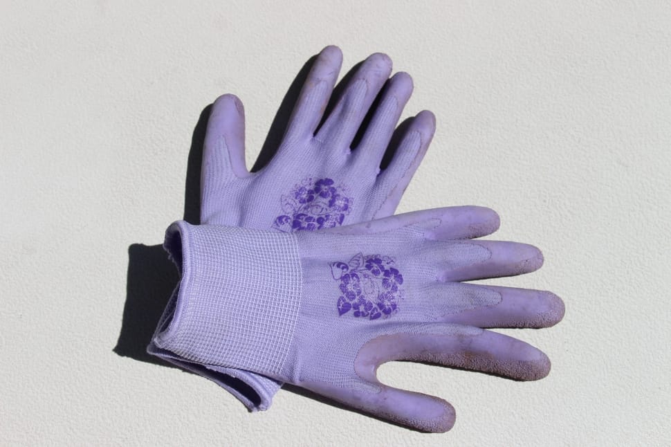pair of purple gloves preview
