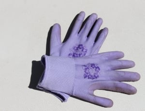 pair of purple gloves thumbnail