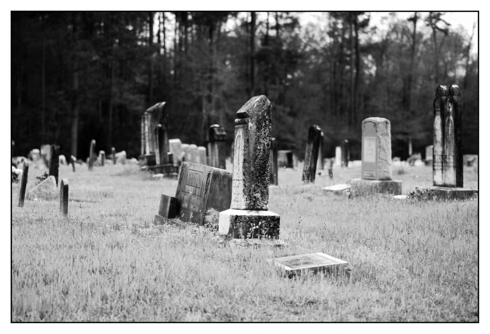 grayscale photo of graveyard preview