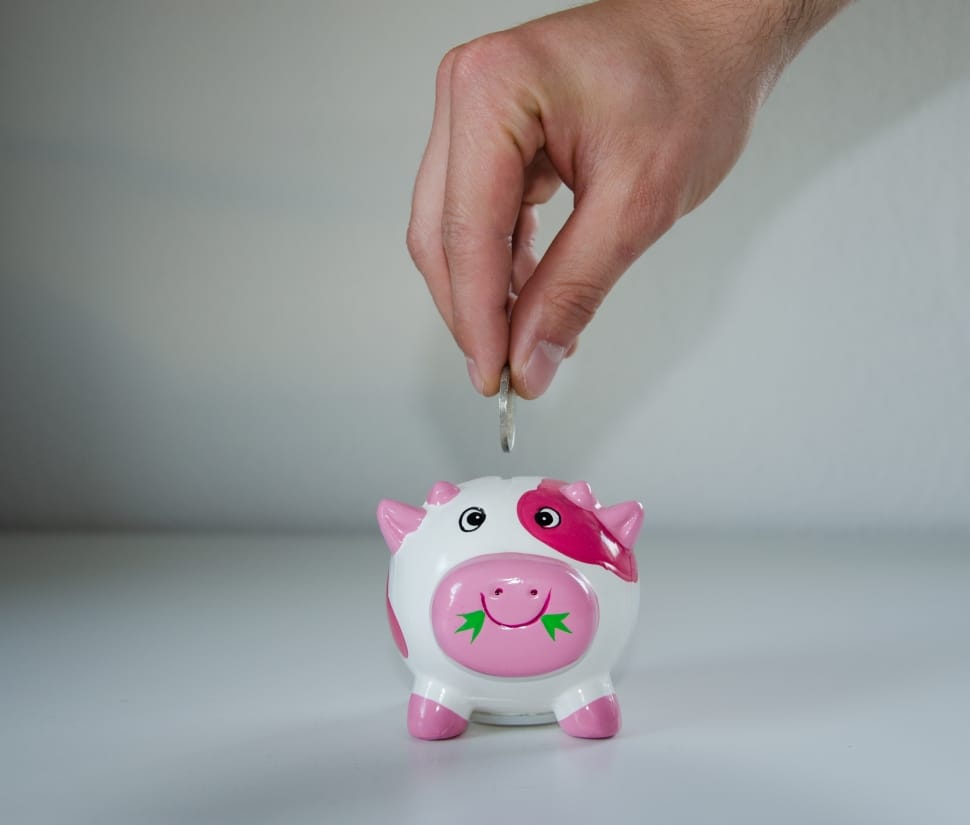 white and pink coin cow bank free image - Peakpx