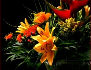 Flowers, Bouquet, Bouquet Of Flowers, flower, plant thumbnail