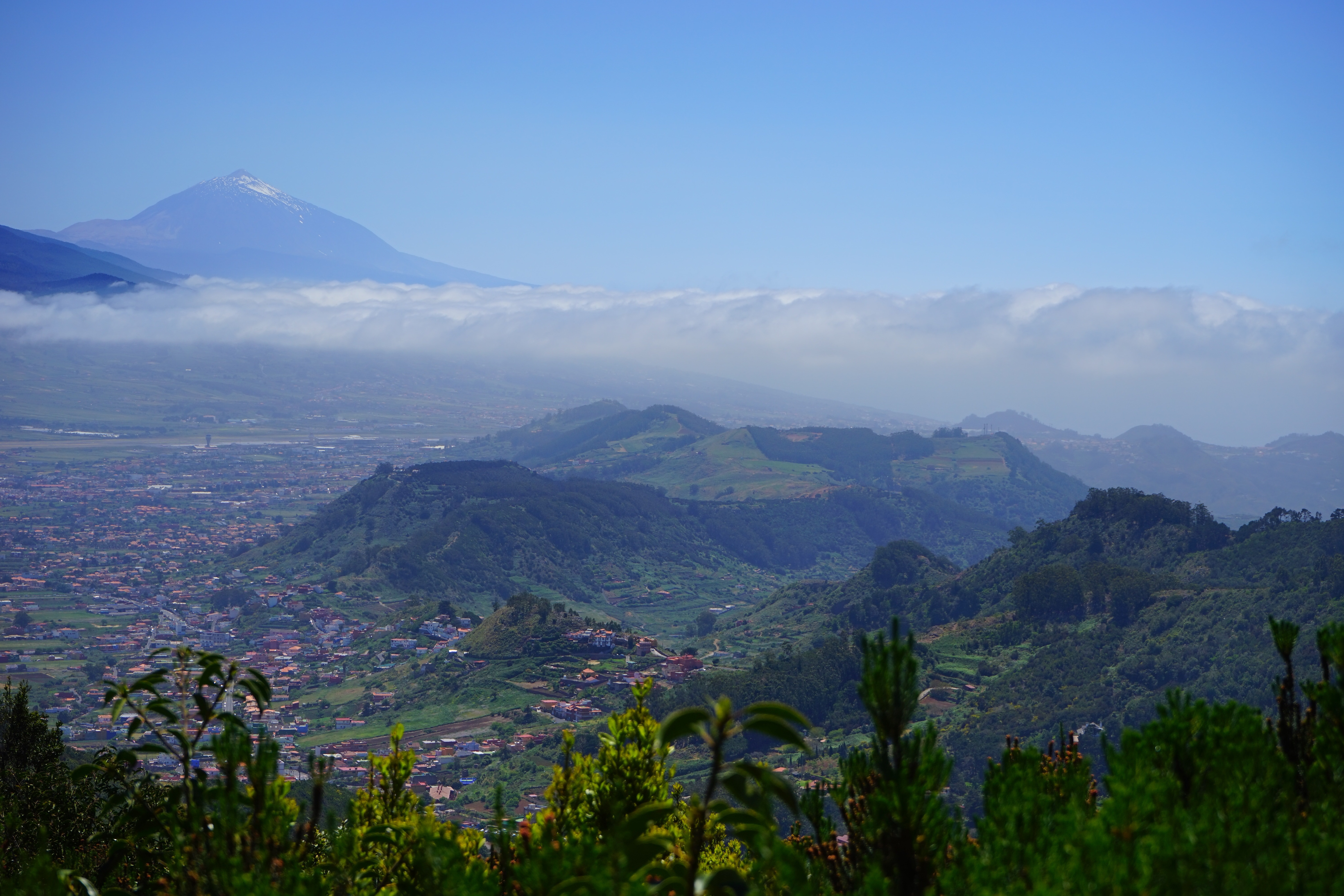 green capped mountain