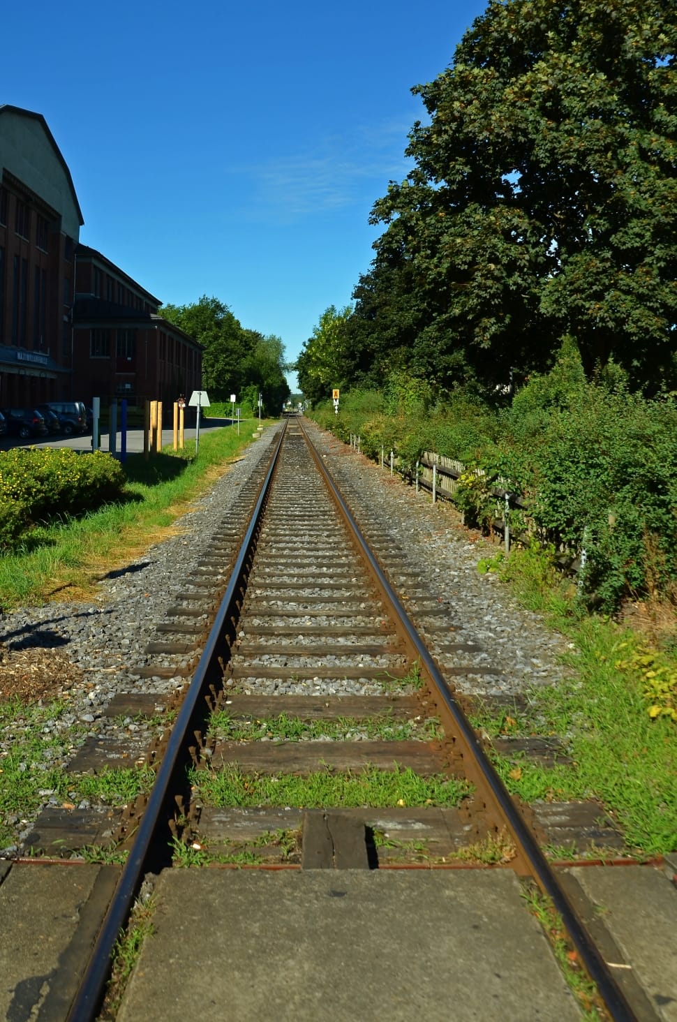 brown steel train rails preview