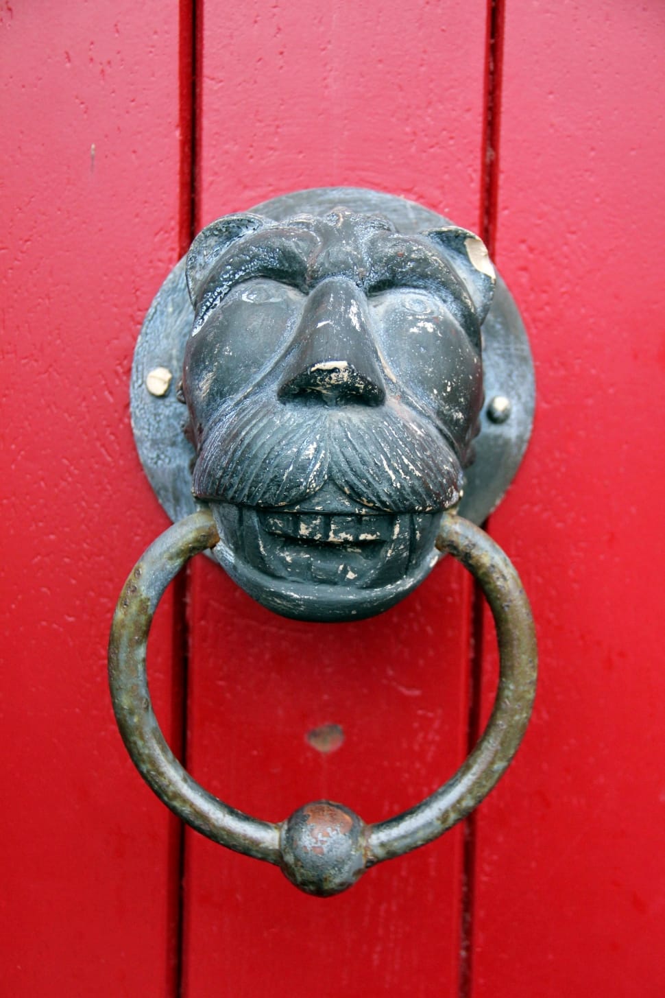 Lion, Lion Head, Doorknocker, Ring, Red, red, door knocker preview