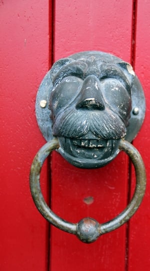 Lion, Lion Head, Doorknocker, Ring, Red, red, door knocker thumbnail