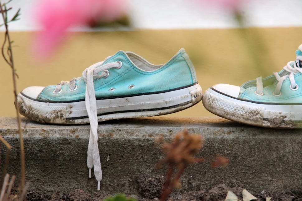 turquoise and white converse low top sneakers preview
