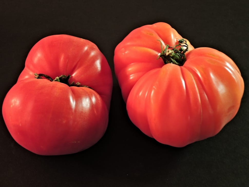 two red tomatoes preview