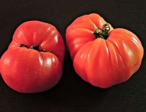 two red tomatoes thumbnail