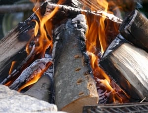 Fire, Campfire, Adventure, Wood, fire - natural phenomenon, flame thumbnail