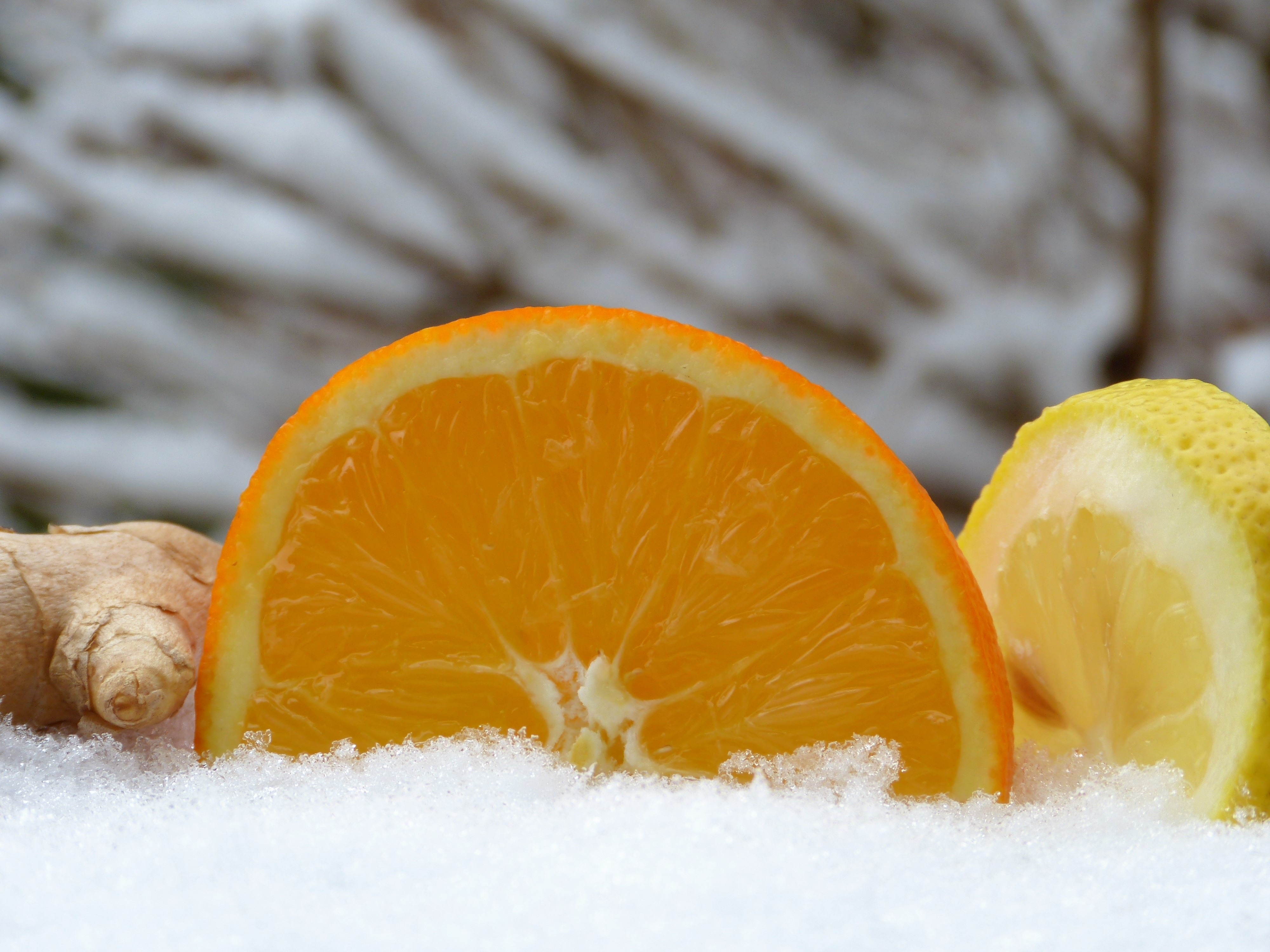 sliced orange fruit, lemon and ginger