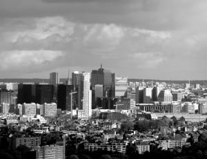 grey scale photo of high rise buildings thumbnail