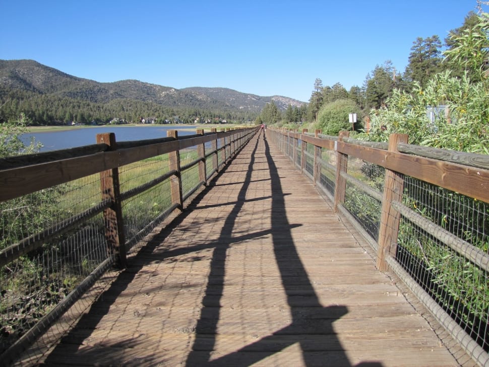 brown wooden bridge near body of water during daytime preview