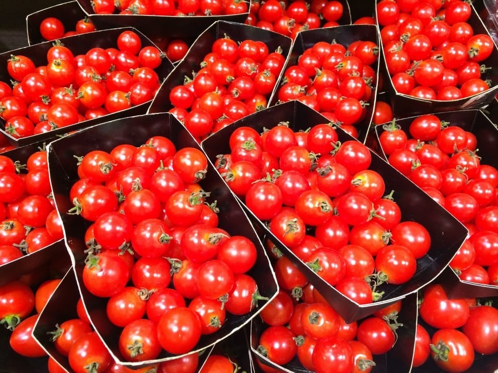 cherry tomatoes preview