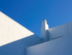 white painted building thumbnail