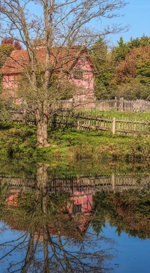 pink house near body of water during daytime thumbnail