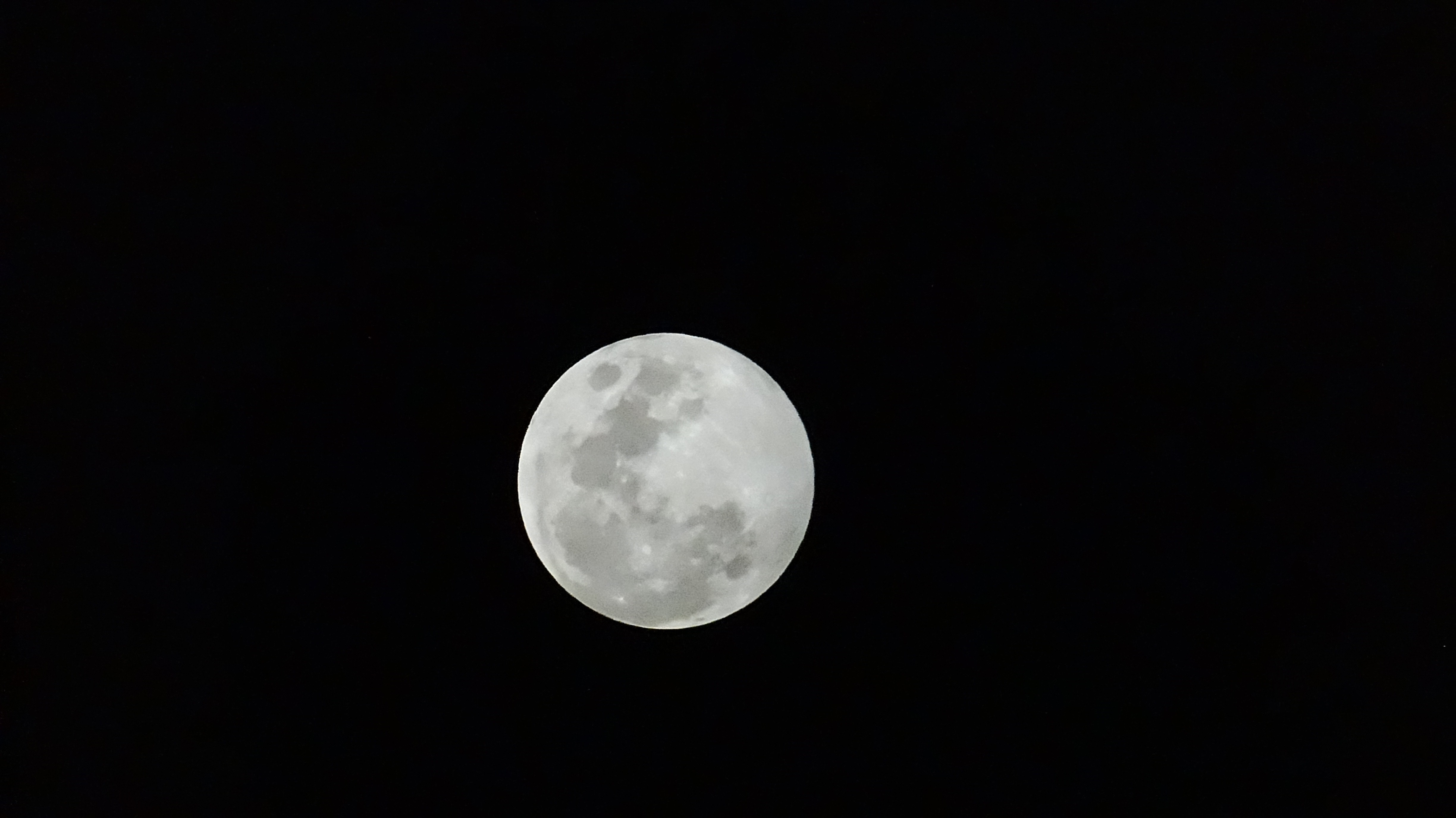 Below the moon. Белоснежная Луна. Пепельный свет Луны. Темная ночь белая Луна. Бело лунный цвет.