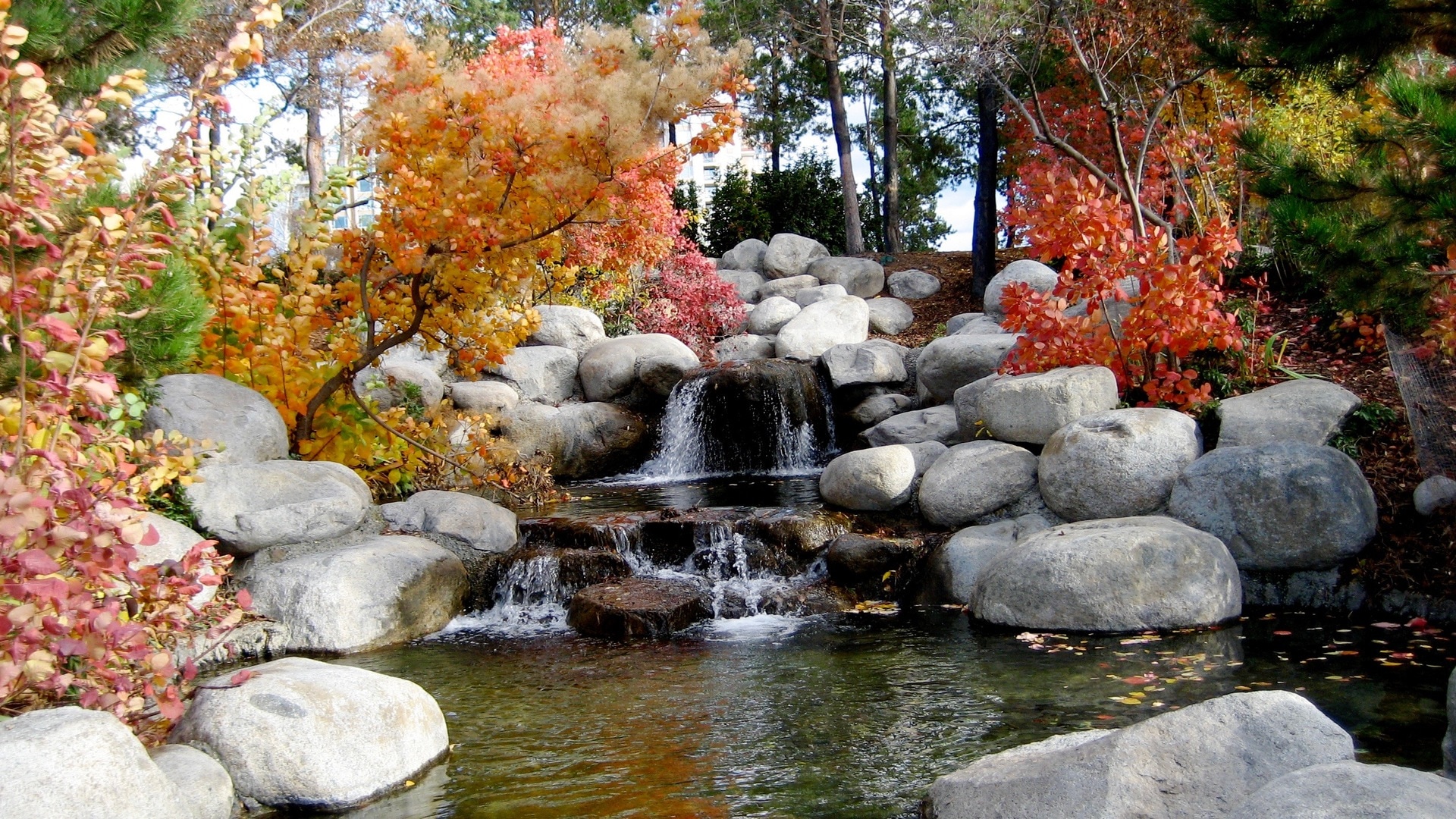 body of water surrounded with stones and plants