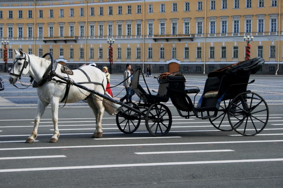 Cart, White, Black, Parked, Horse, transportation, riding preview