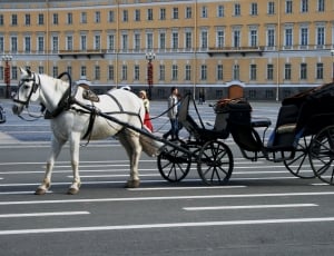 Cart, White, Black, Parked, Horse, transportation, riding thumbnail