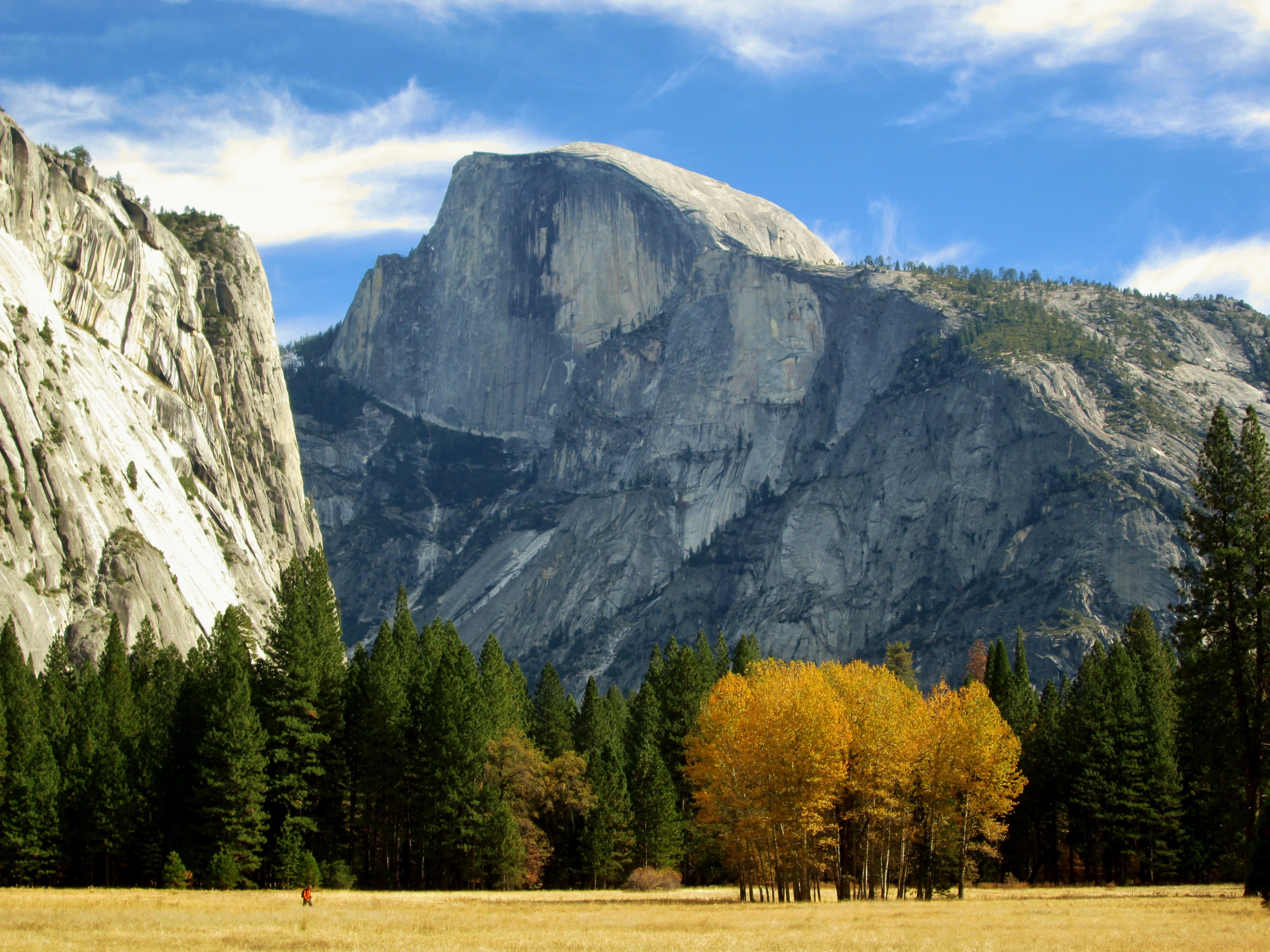 Половина горы. Yosemite half Dome, Калифорния, США. Хаф-Доум Йосемитский национальный парк. Парк Йосемити Калифорния деревья. Йосемити, купол половины, гора.