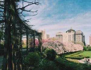 photography of a park during daytime thumbnail